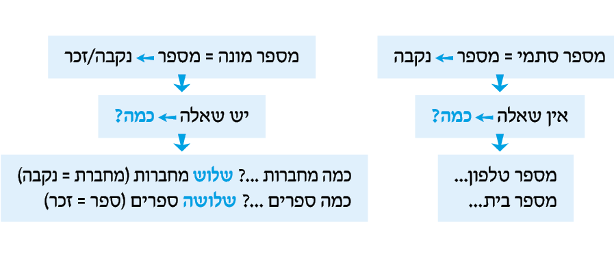 hebrew_learn_ulpan_07-16.png