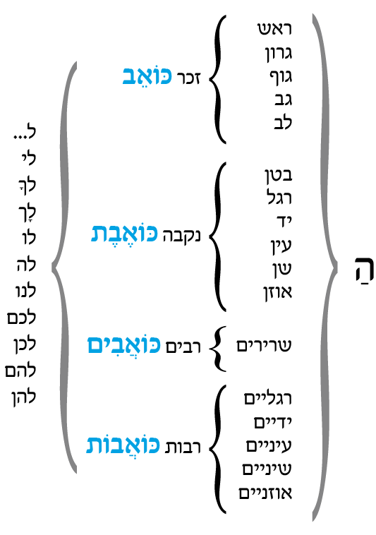 hebrew_learn_ulpan_21-11.png