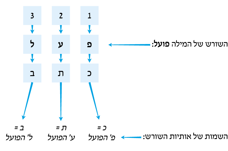 hebrew_learn_ulpan_22-17.png