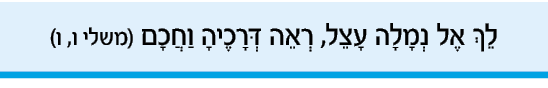 hebrew_learn_ulpan_32-06.png
